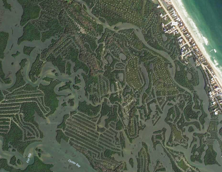 Satellite Photograph Of the Mangrove Green